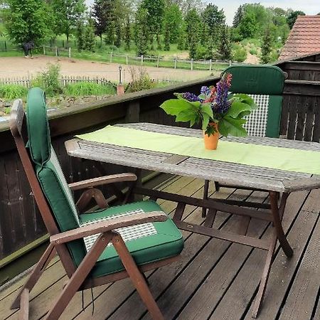 Schoenermarker Pferdeparadies Niederlandin Zewnętrze zdjęcie